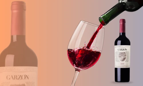 Vinos 2.0
