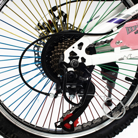 Bicicleta R20 C/ Cambios, Suspensión, Freno De Disco El Rey Rosado