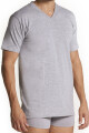 Camiseta con escote en v Gris