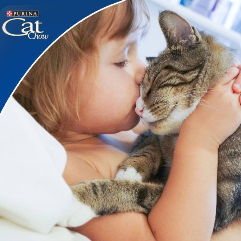 CAT CHOW GATOS ADULTOS PESCADO Y POLLO 3 KG