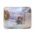 Acolchado Infantil Forzen 1 Plaza 100% Microfibra CORAL