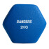 Mancuerna 2KG Revestida De Neopreno Azul Mancuerna 2KG Revestida De Neopreno Azul