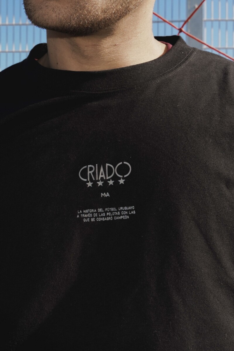 Remera Historia GRIS