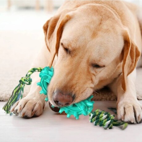 Juguete Dental Ovalado Mordible y Rellenable con Comida para Perros Verde