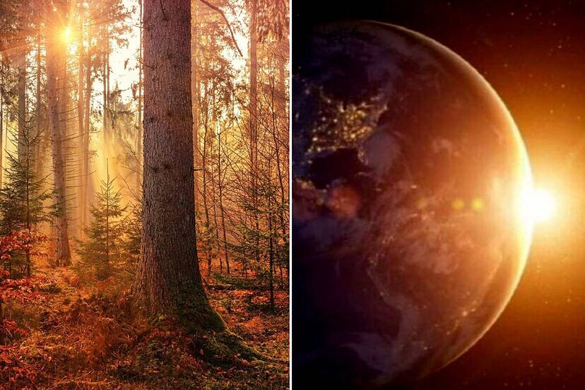 Soltar y Renacer: Ritual para el Equinoccio de Otoño