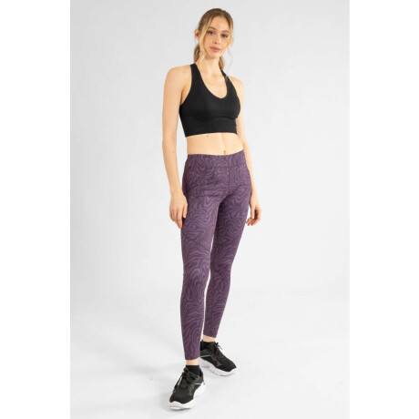 Calza cf Purpura