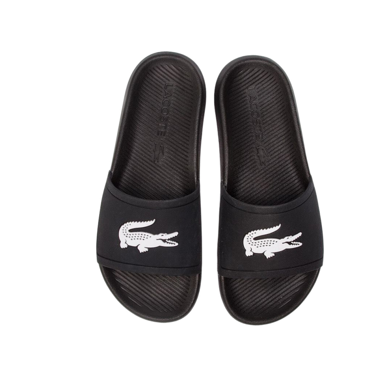 LACOSTE CROCO - 312 