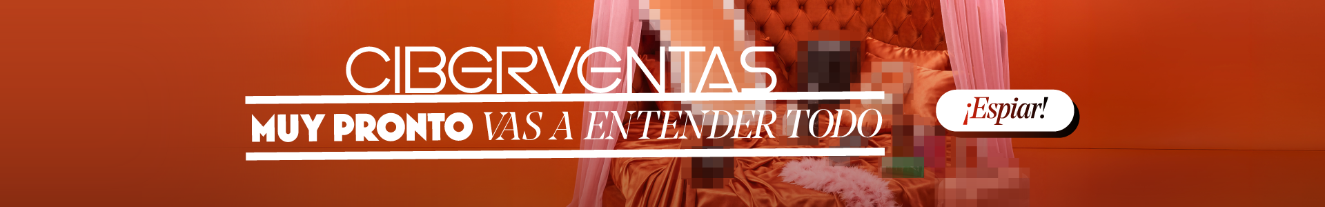 Homeslider_Previa Ciberventas