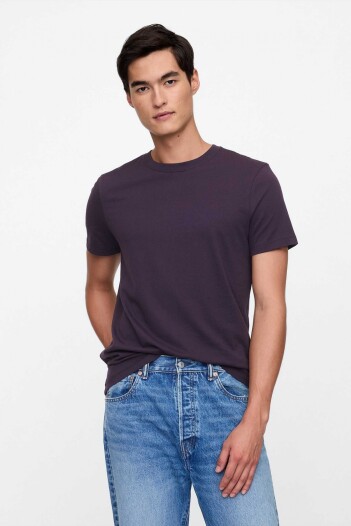 Remera Básica Cuello Redondo Hombre Sugar Plum 611
