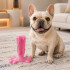 Juguete Para Perros Dental Ventosa Anti Sarro Resistente Color Rosa
