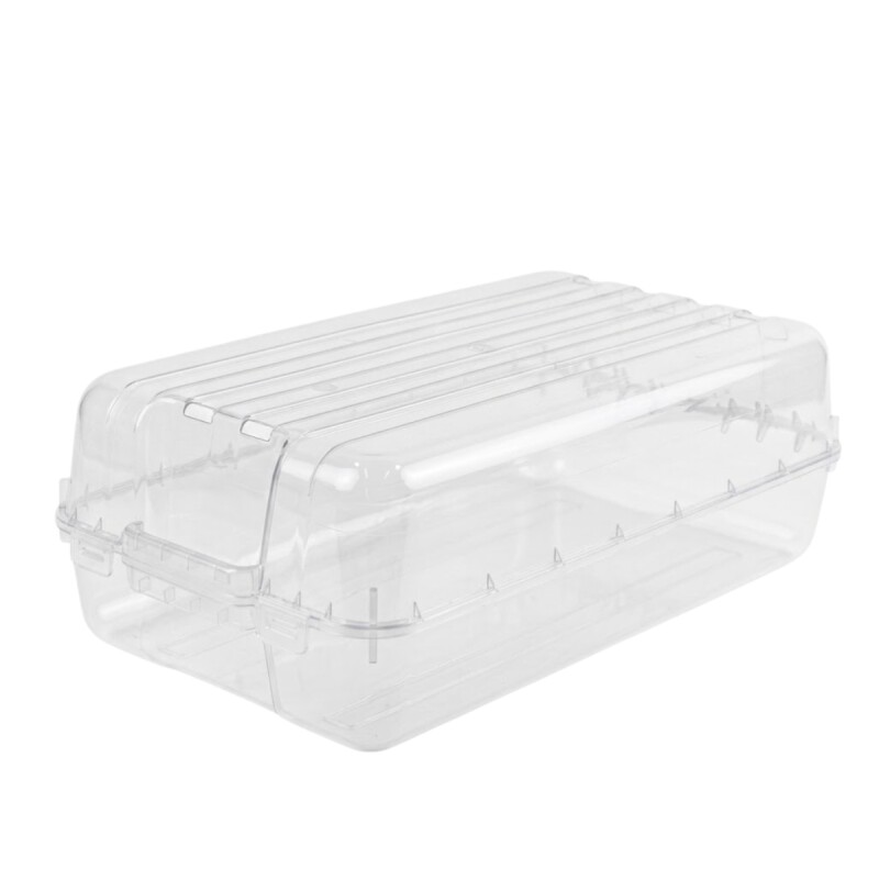 Setx 4 Caja de Zapatos TRANSPARENTE