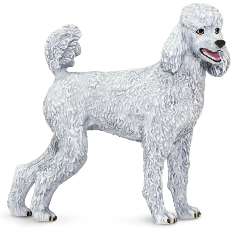 Caniche Safari 100063 Caniche Safari 100063