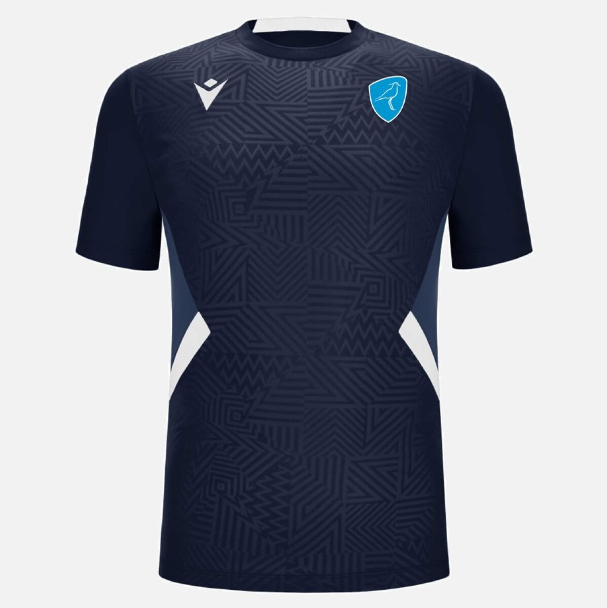 REMERA TRAINING TEROS 