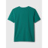 V-FALL LOGO TEE BALSAM TREE