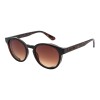 Lentes de Sol Chilli Beans Ártico Animal Print