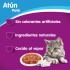 WHISKAS PATE LATA ALIMENTO HUMEDO ATUN 340 GR