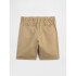 V-FF SHORT PECAN