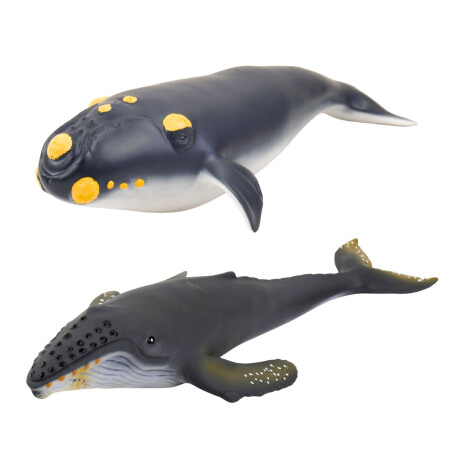 Animal marino 3 modelos Animal marino 3 modelos