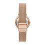 Reloj Skagen Clasico Acero Oro Rosa 0
