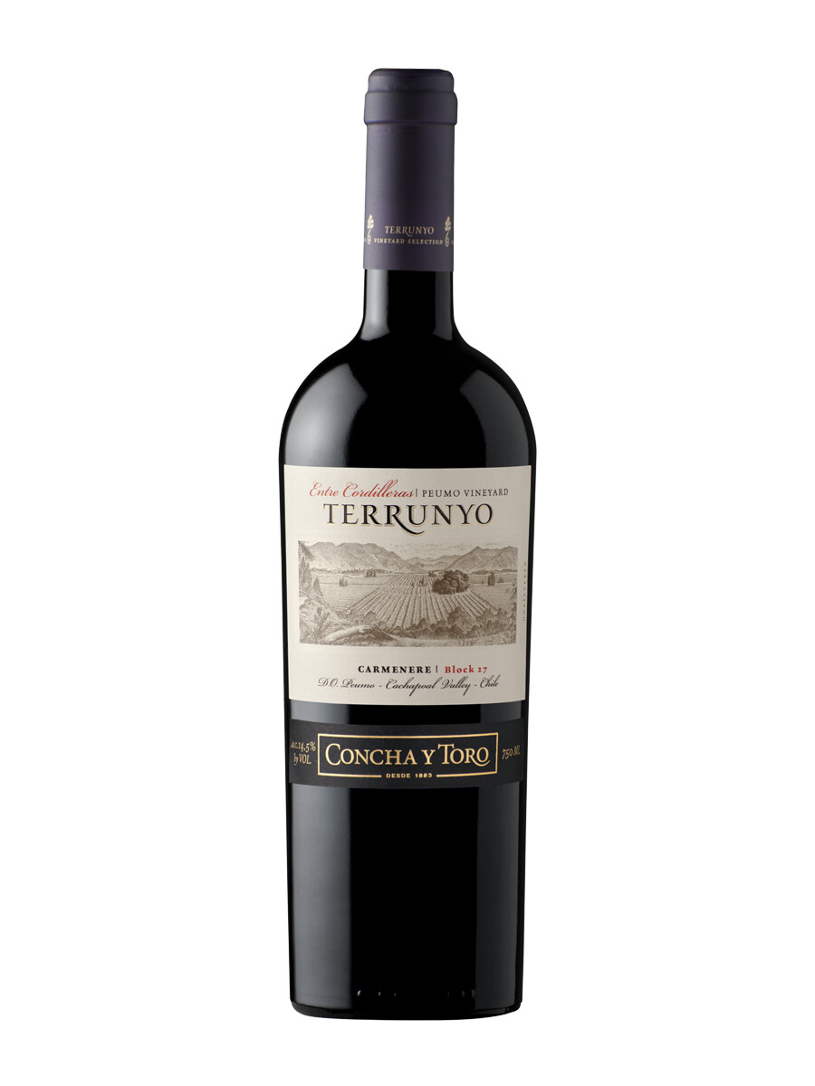 Vino Terrunyo Carmenere 750 ml Vino Terrunyo Carmenere 750 ml