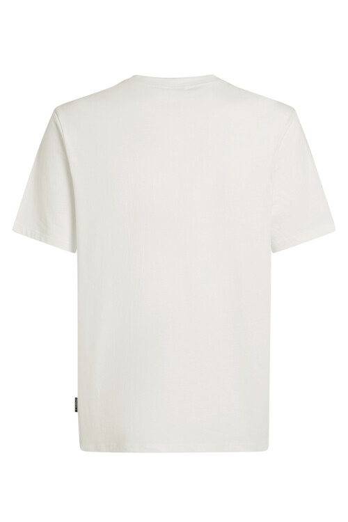 Remera O'Neill Artic Tropics Remera O'Neill Artic Tropics
