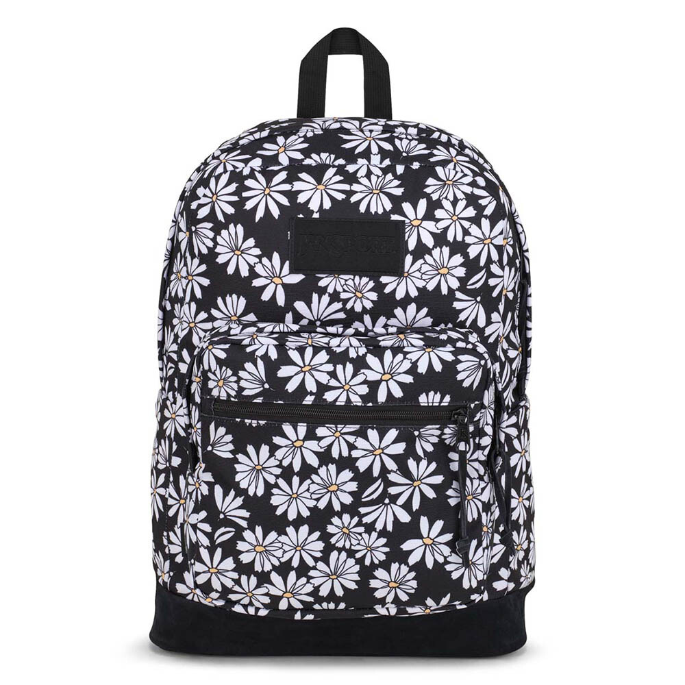 Right Pack Punk Pansies Black