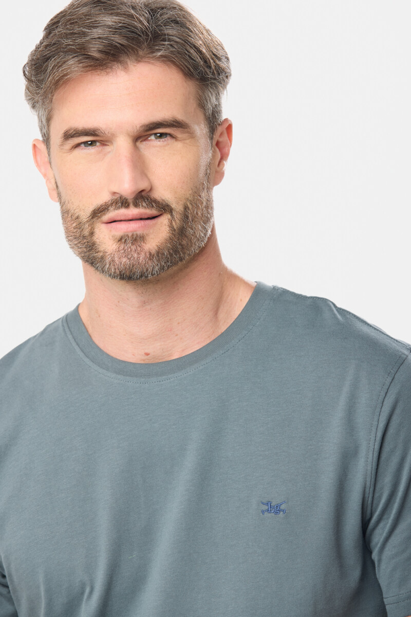 REMERA LISA - Petroleo 