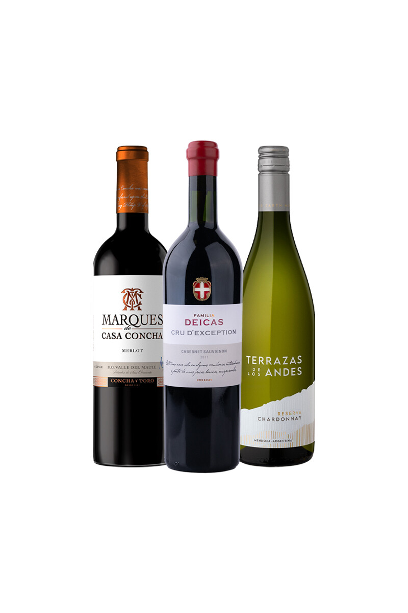 Pack Bacán Selección El origen del carácter - Expresiones unicas x3 vinos 