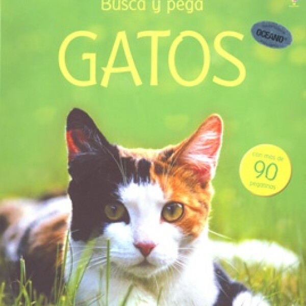 Busca Y Pega Gatos Busca Y Pega Gatos