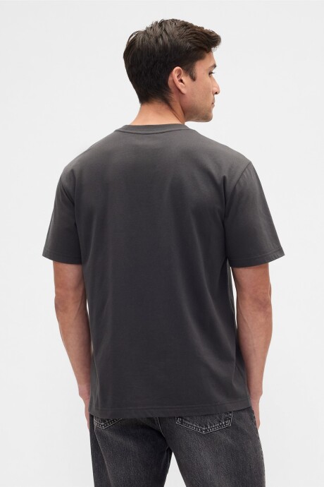 Remera Gràfico Hombre Flint Grey