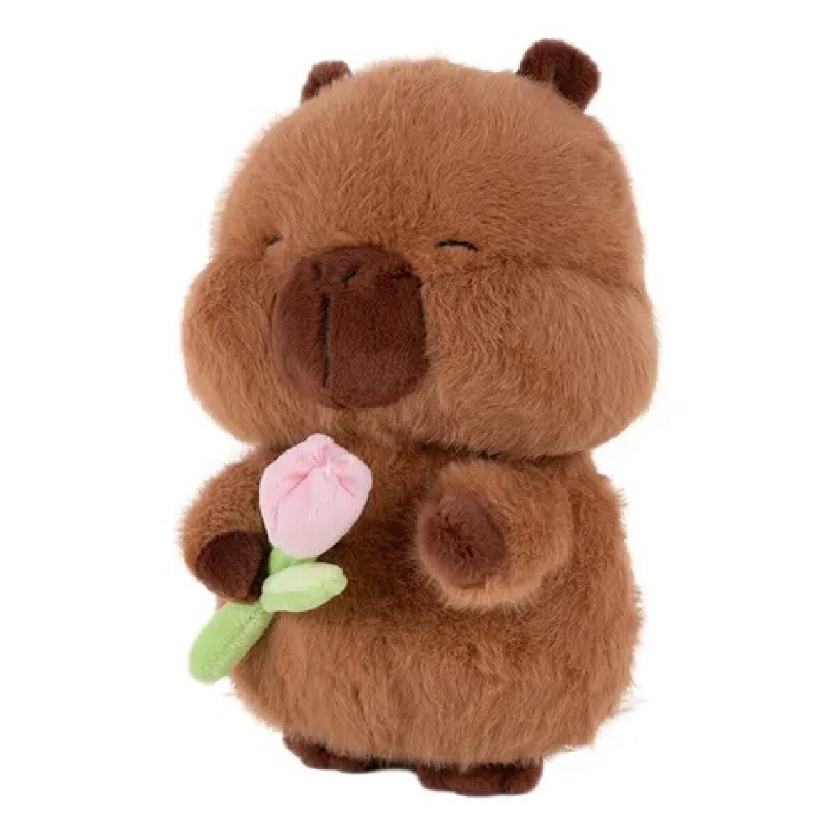 Peluche capibara 30 cm - diseño 2 