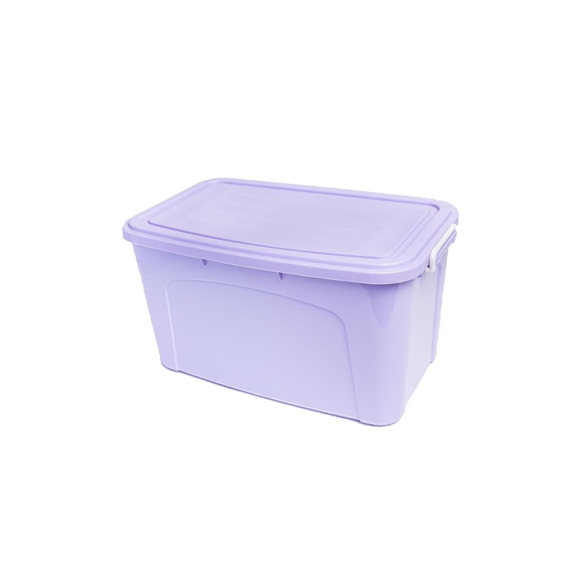 CAJA ORGANIZADORA 30LTS COLOR SURTIDO - LILA 