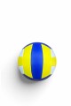 PELOTA DE VOLLEY Azul