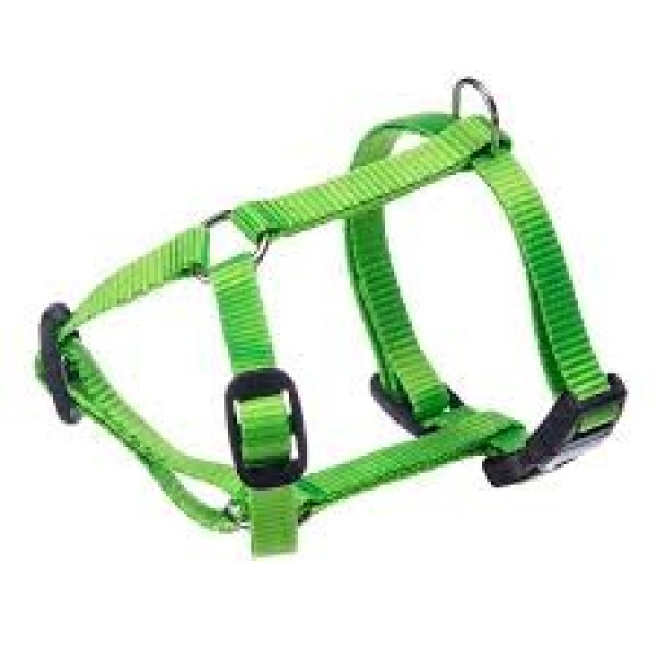 CHAMPION P LARGE VERDE PETT. CHAMPION P LARGE VERDE PETT.