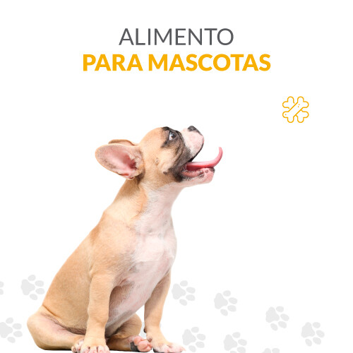 Alimentos para Mascotas