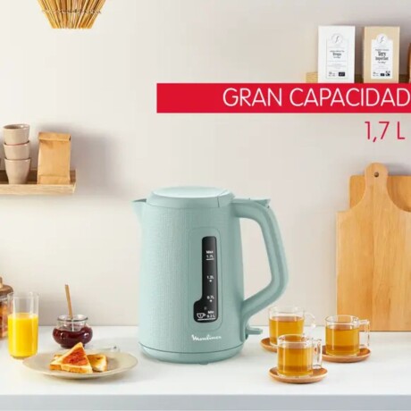 Hervidor Morning Tea Ball Moulinex | Color verde Hervidor Morning Tea Ball Moulinex | Color verde