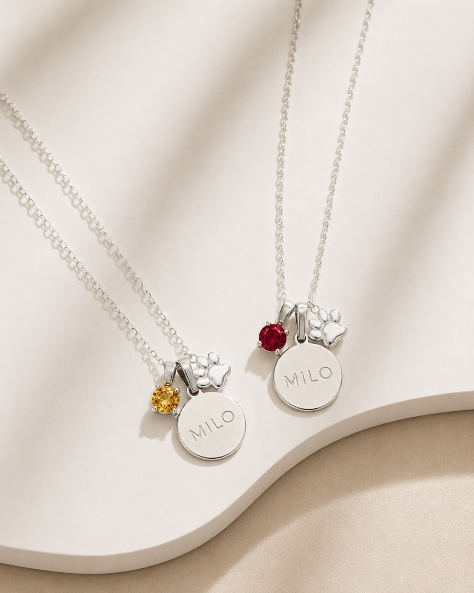 Collar Pet Memories - Plata 925 