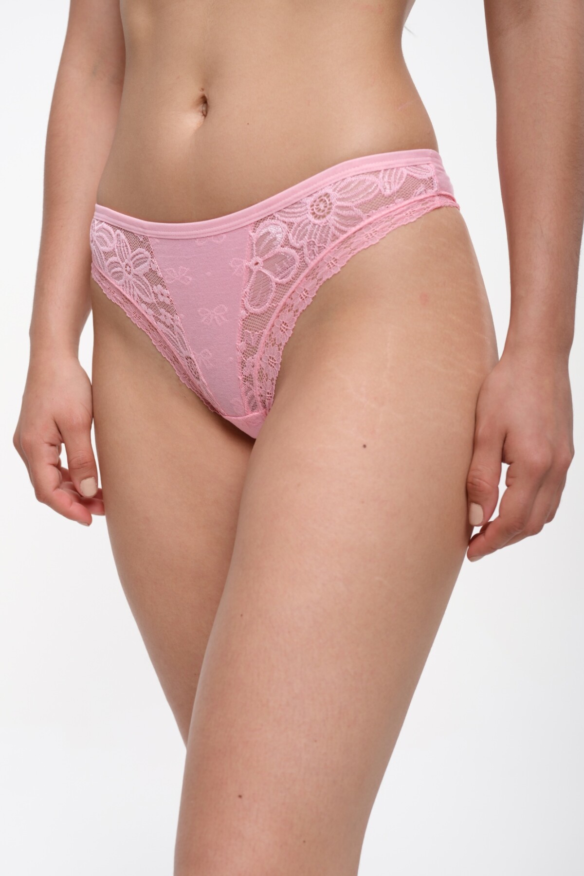 Colaless Malva Coral