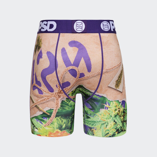 Calzoncillos PSD 420 Stash Multicolor