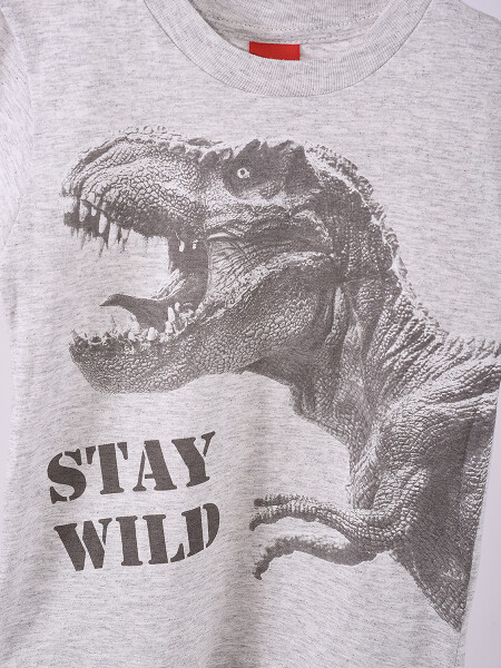 REMERA WILD GRIS