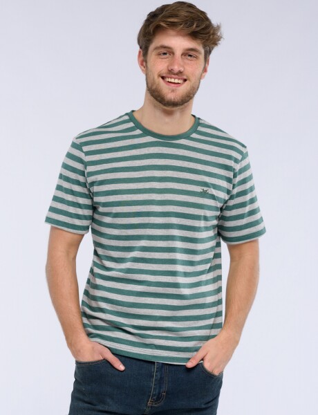 REMERA RAYADA Verde
