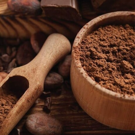 Cacao en Polvo Orgánico 200g Terra Verde Cacao en Polvo Orgánico 200g Terra Verde