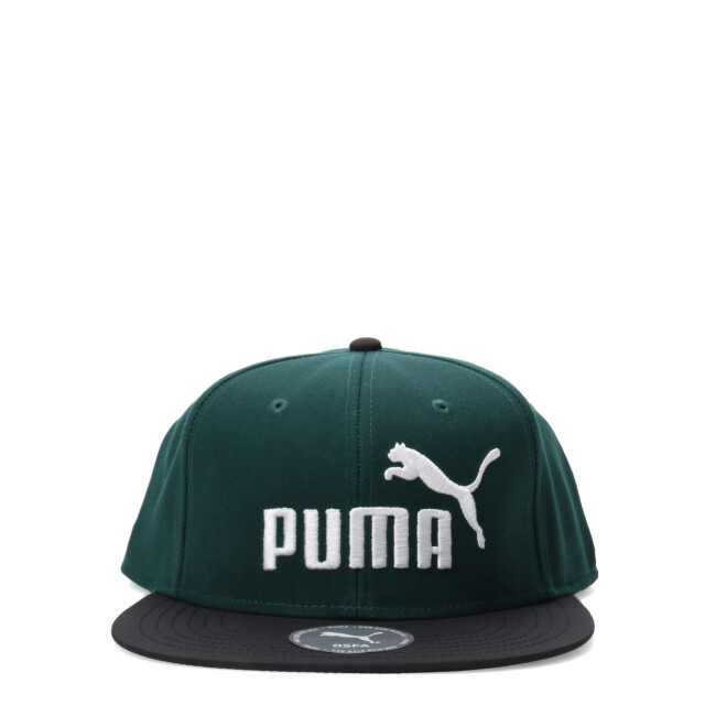 Gorra Puma Logo Flat Brim Verde - Negro