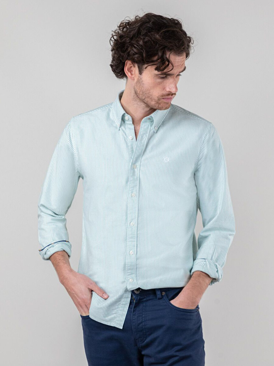 Camisa Oxford El Ganso - Raya Yale Verde 
