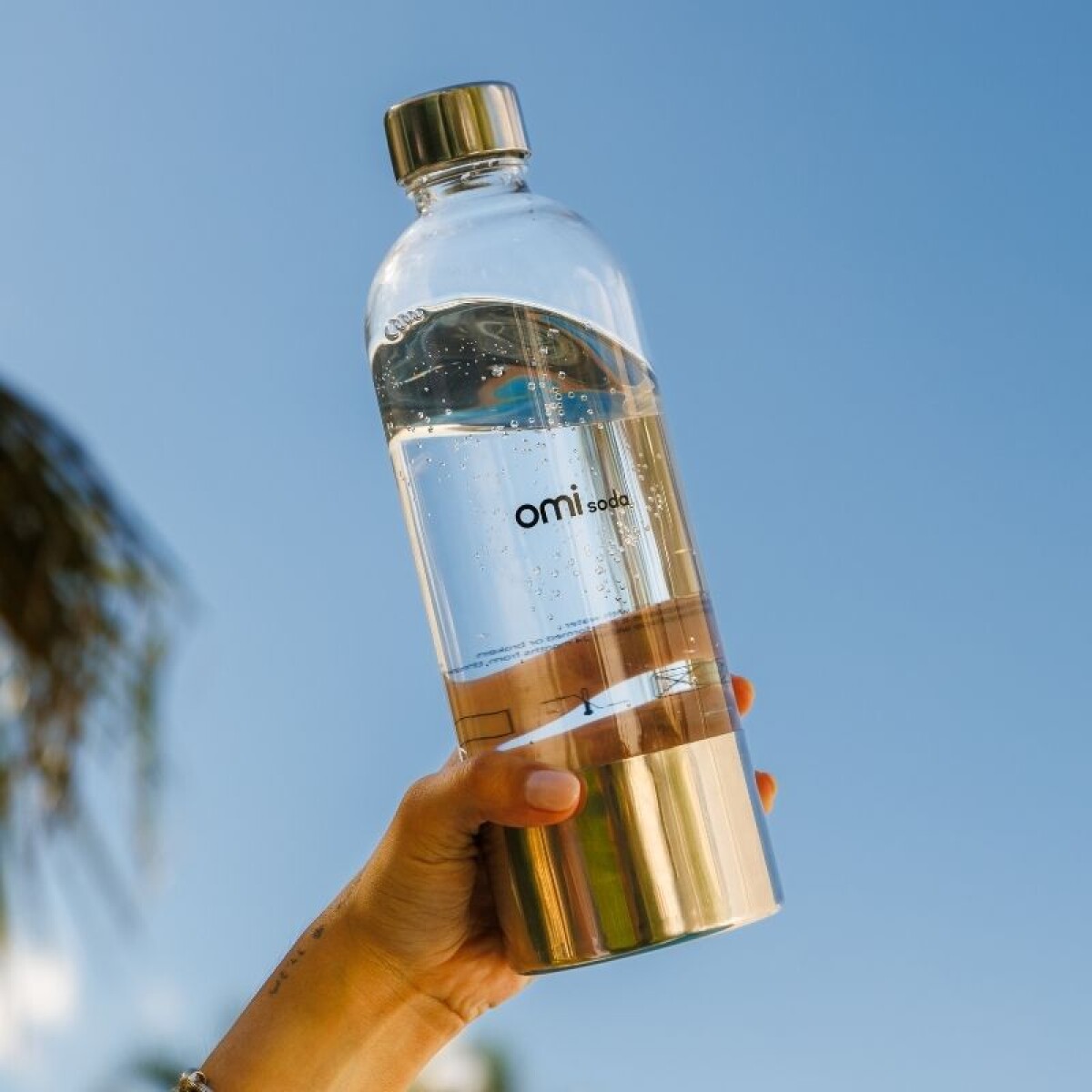 Botella gasificadora Pro 
