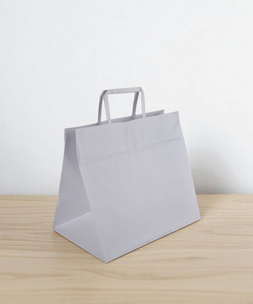 Bolsa lisa acuario 30x21x26 cm BLANCO