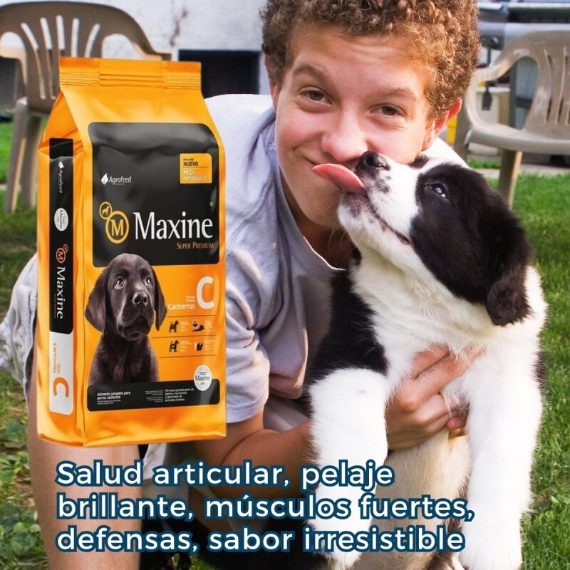 MAXINE PERROS CACHORROS 7.5 KG + PLATO COMEDERO DE REGALO