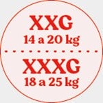 XXG/XXXG