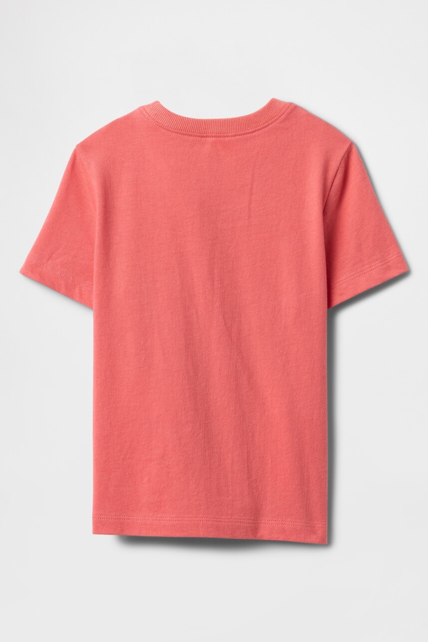 Remera Disney Toddler Niño Watermelon Ice