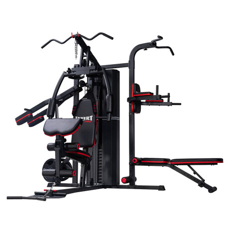 Multigimnasio Expert Fitness Completo Fusion Prof Gym005005